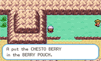 Chesto Berry