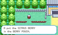 Sitrus Berry